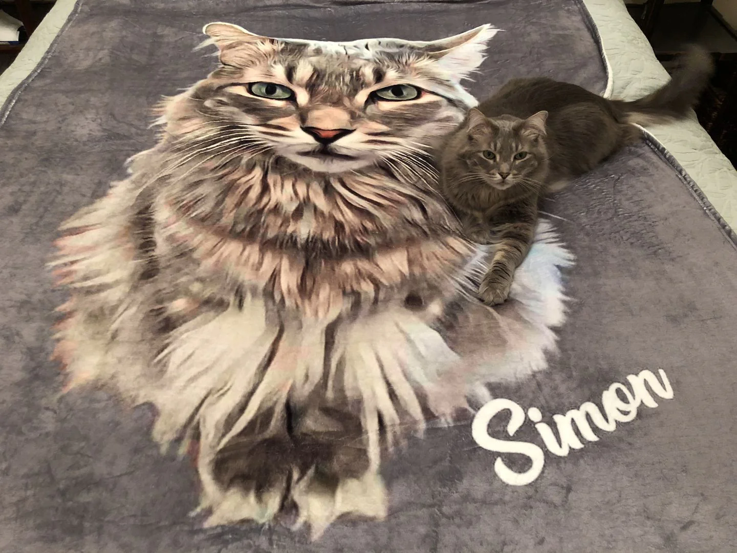 Your Own Custom Personalized Pet Blanket