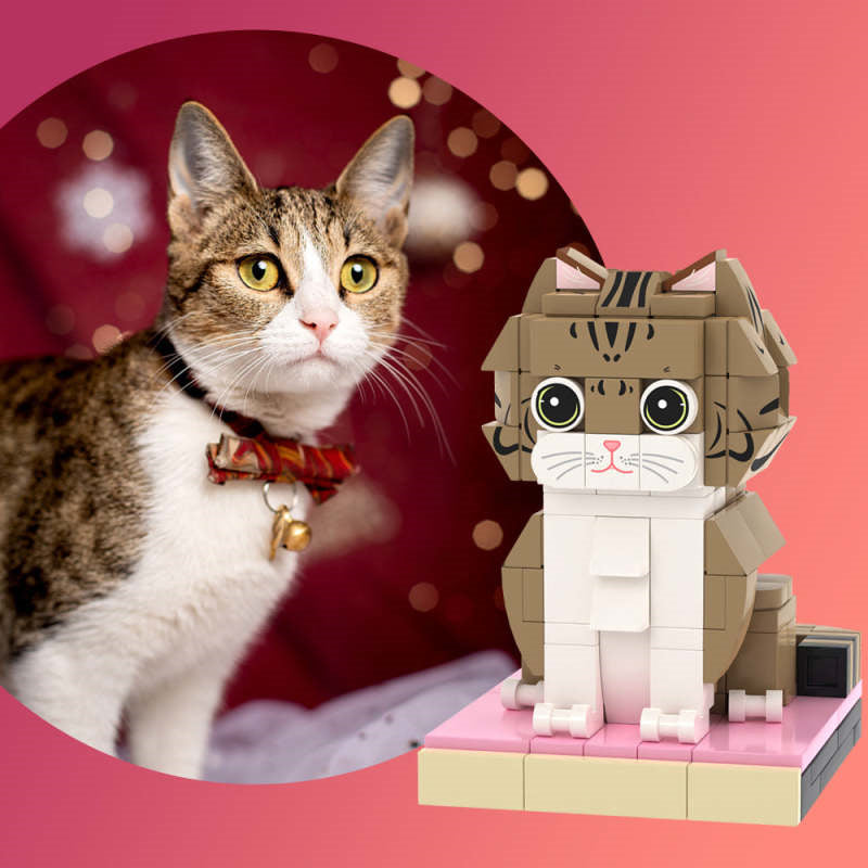 BrickPets - Custom Personalized Brick Pets