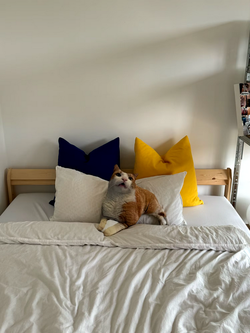 Your Own Custom Personalized Pet Promise Pillow