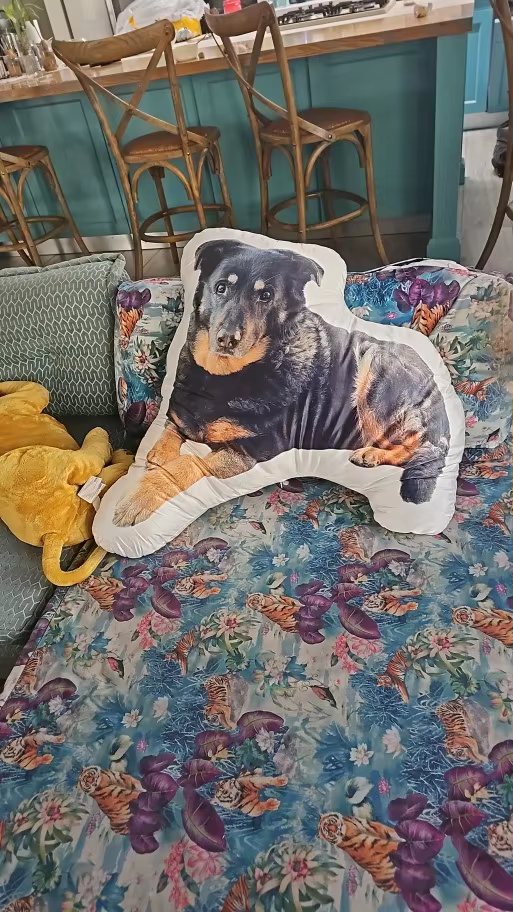 Your Own Custom Personalized Pet Promise Pillow